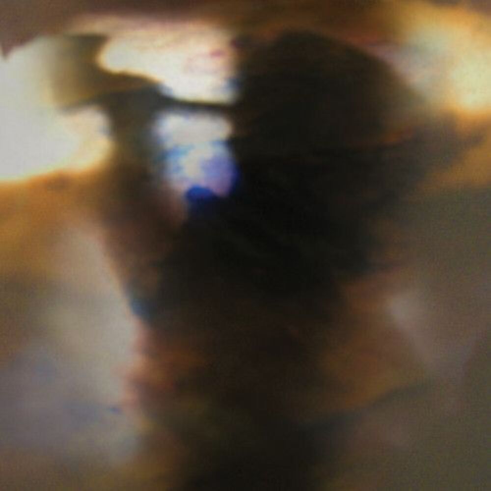 Animal Collective - Fall Be Kind  LP LP